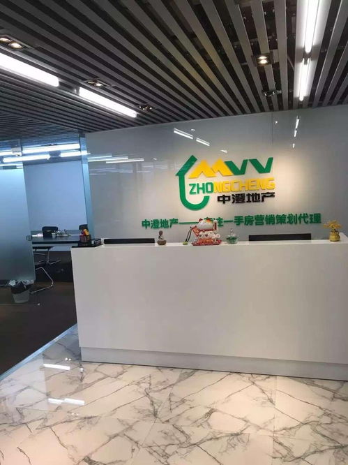 上海中澄房地产营销策划与房地产开发经营的协同策略研究